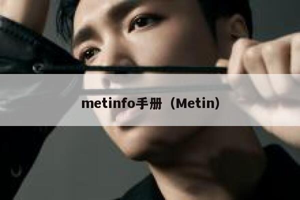 metinfo手册（Metin）