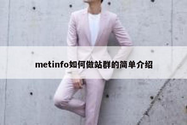 metinfo如何做站群的简单介绍