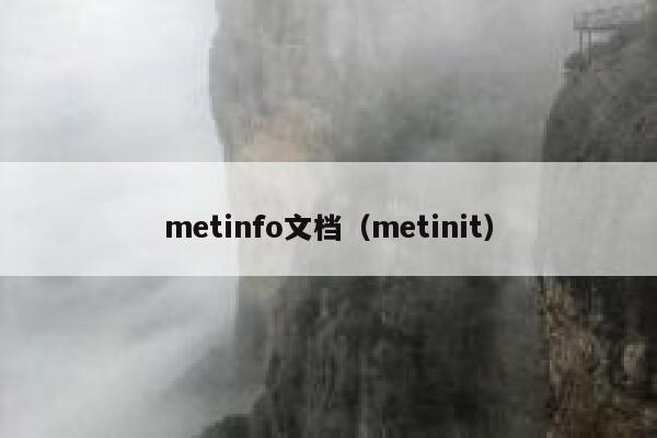 metinfo文档（metinit）