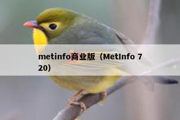 metinfo商业版（MetInfo 720）