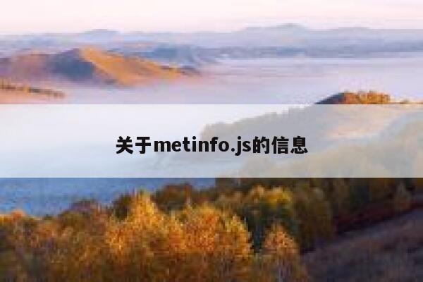 关于metinfo.js的信息