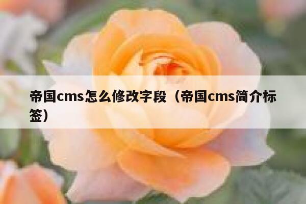 帝国cms怎么修改字段（帝国cms简介标签）