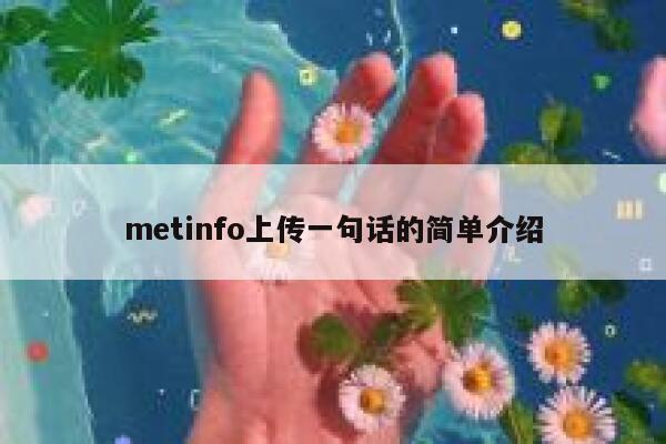 metinfo上传一句话的简单介绍