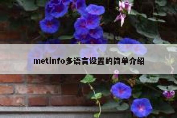 metinfo多语言设置的简单介绍