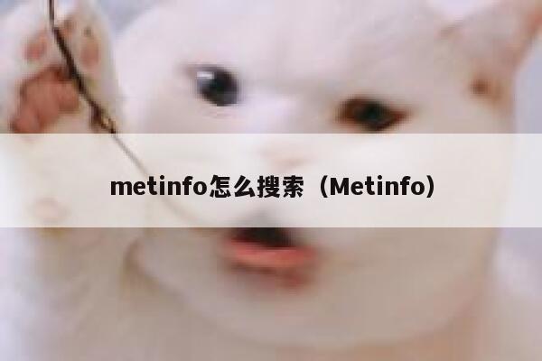 metinfo怎么搜索（Metinfo）