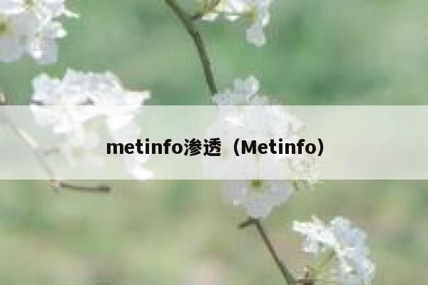 metinfo渗透（Metinfo）