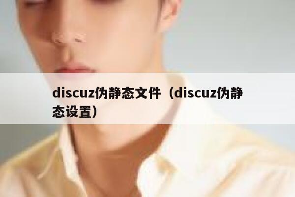 discuz伪静态文件（discuz伪静态设置）