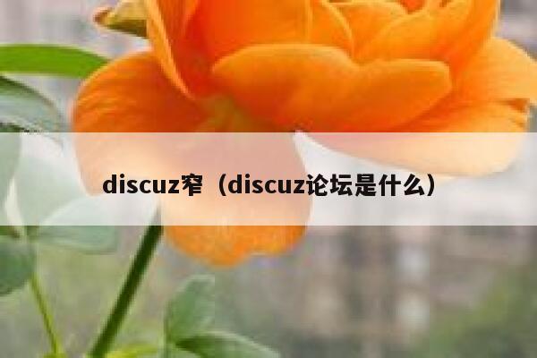 discuz窄（discuz论坛是什么）