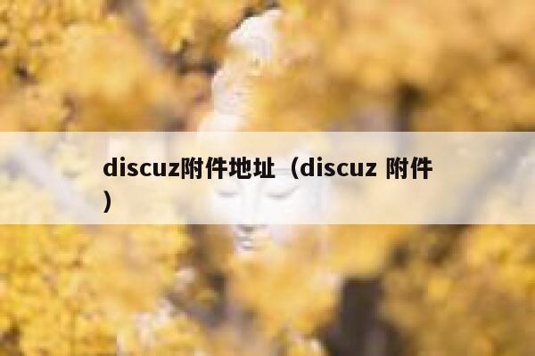 discuz附件地址（discuz 附件）