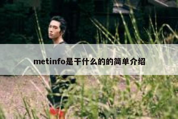 metinfo是干什么的的简单介绍