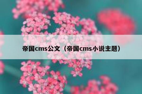 帝国cms公文（帝国cms小说主题）