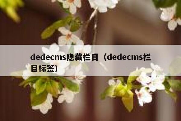 dedecms隐藏栏目（dedecms栏目标签）