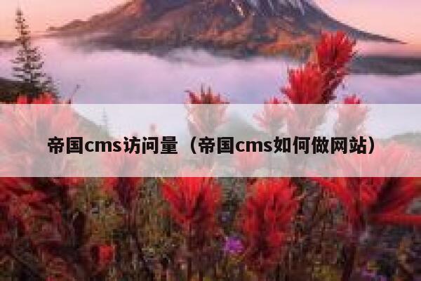 帝国cms访问量（帝国cms如何做网站）