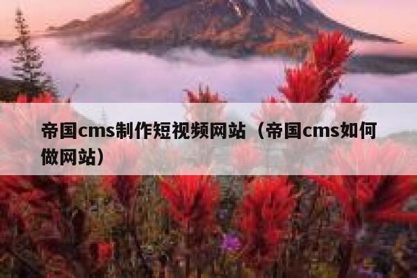 帝国cms制作短视频网站（帝国cms如何做网站）