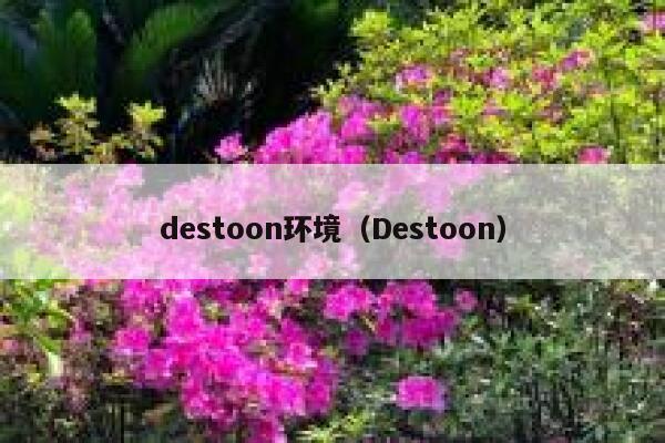 destoon环境（Destoon）