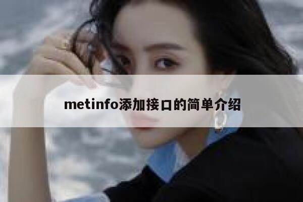 metinfo添加接口的简单介绍