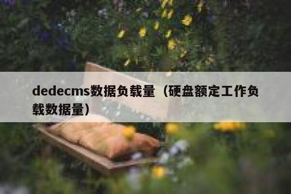 dedecms数据负载量（硬盘额定工作负载数据量）