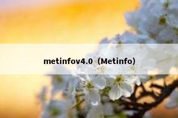 metinfov4.0（Metinfo）