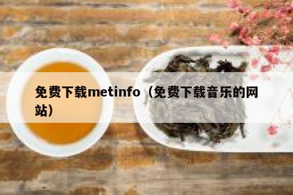 免费下载metinfo（免费下载音乐的网站）