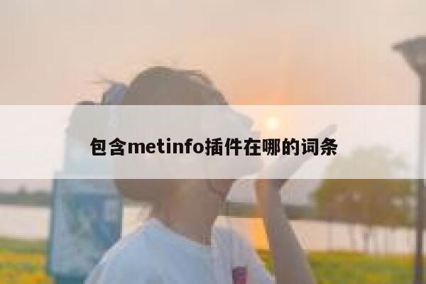 包含metinfo插件在哪的词条