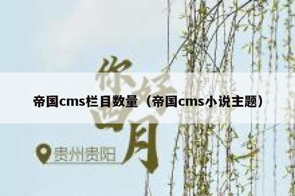 帝国cms栏目数量（帝国cms小说主题）