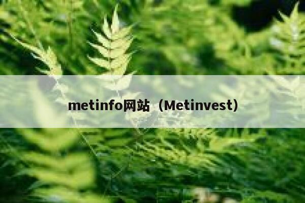 metinfo网站（Metinvest）