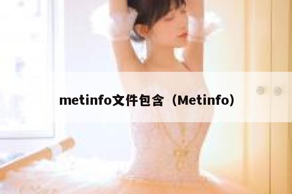 metinfo文件包含（Metinfo）