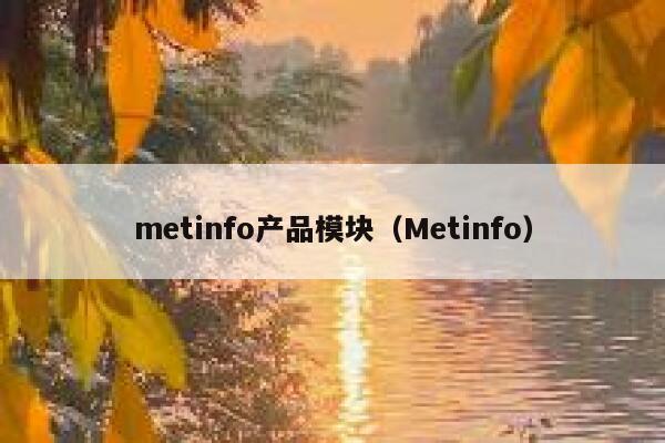 metinfo产品模块（Metinfo）