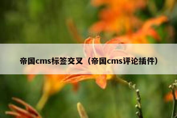 帝国cms标签交叉（帝国cms评论插件）