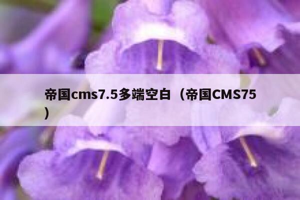 帝国cms7.5多端空白（帝国CMS75）