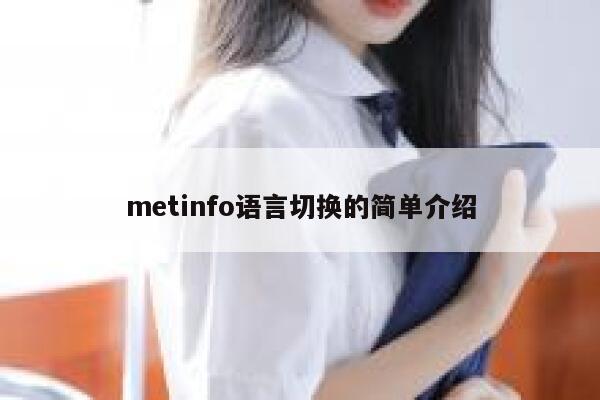 metinfo语言切换的简单介绍 第1张