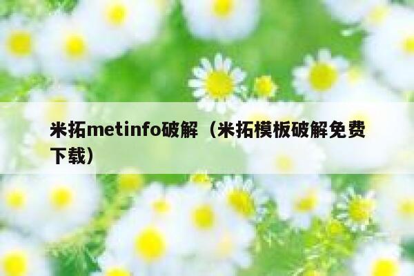 米拓metinfo破解（米拓模板破解免费下载）