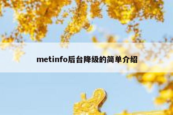 metinfo后台降级的简单介绍