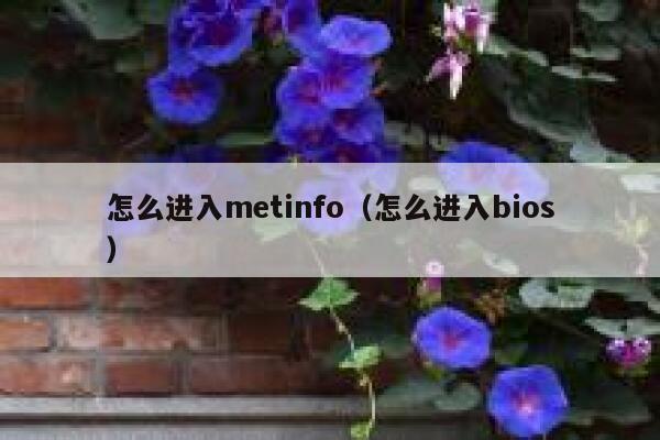 怎么进入metinfo（怎么进入bios）