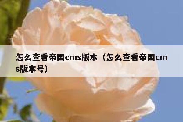 怎么查看帝国cms版本（怎么查看帝国cms版本号）