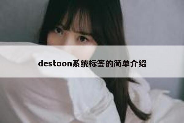 destoon系统标签的简单介绍