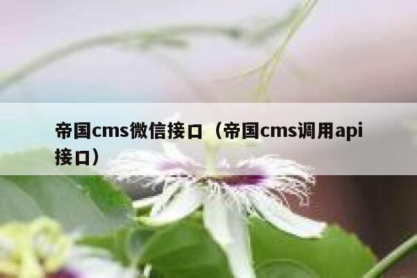 帝国cms微信接口（帝国cms调用api接口）