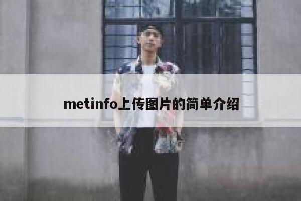 metinfo上传图片的简单介绍