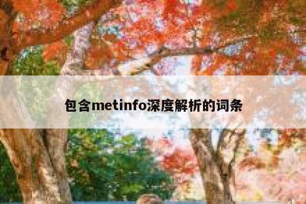 包含metinfo深度解析的词条