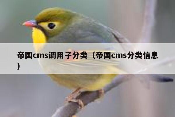 帝国cms调用子分类（帝国cms分类信息）