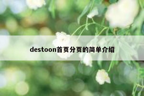 destoon首页分页的简单介绍