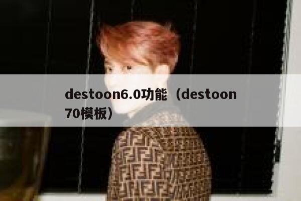 destoon6.0功能（destoon70模板）