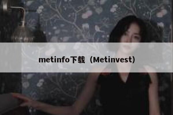 metinfo下载（Metinvest）