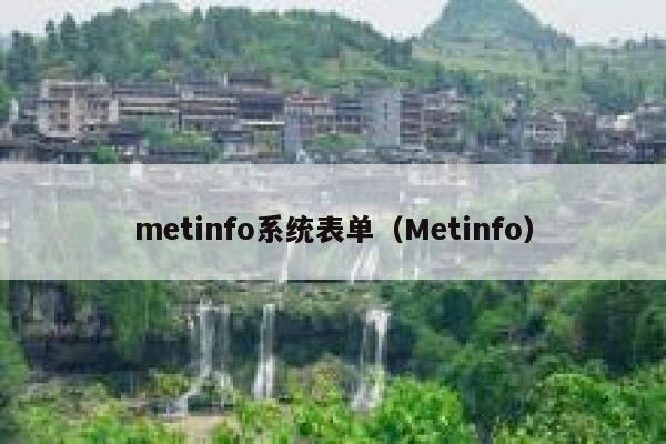 metinfo系统表单（Metinfo）