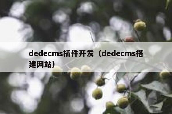 dedecms插件开发（dedecms搭建网站）