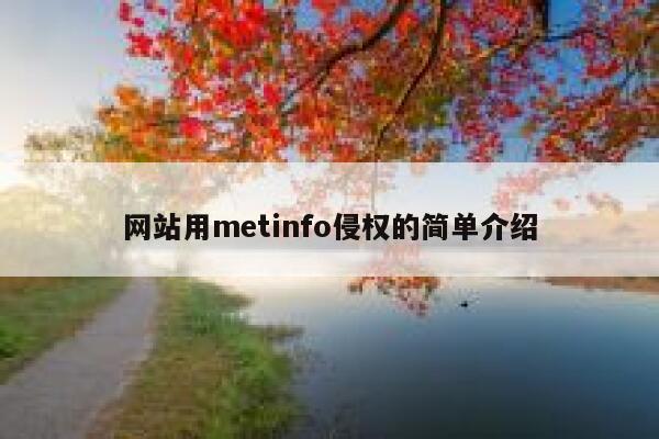 网站用metinfo侵权的简单介绍