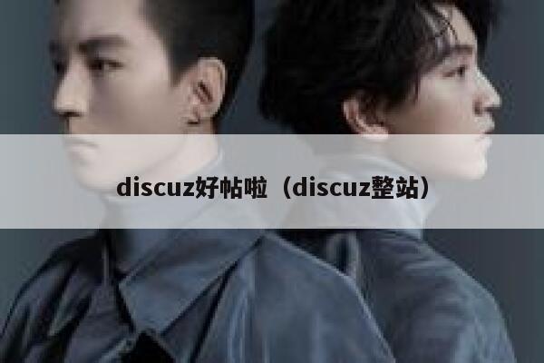 discuz好帖啦（discuz整站）