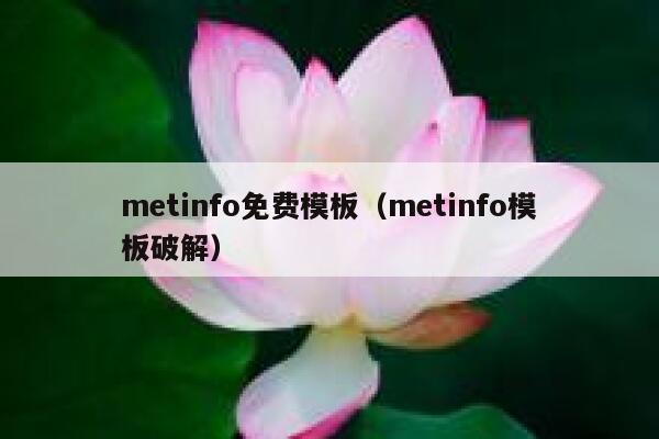 metinfo免费模板（metinfo模板破解）