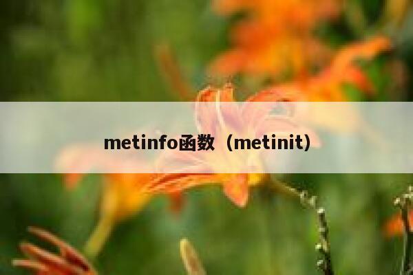 metinfo函数（metinit）