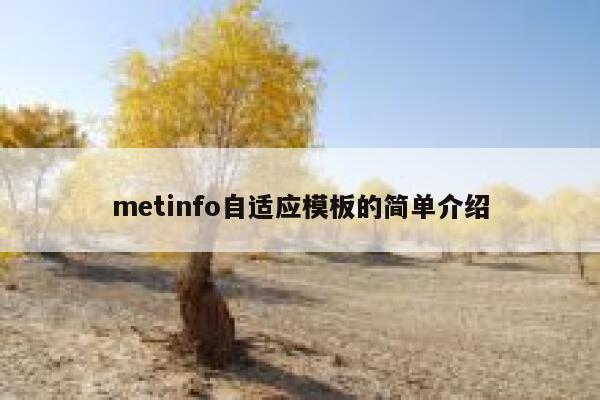 metinfo自适应模板的简单介绍